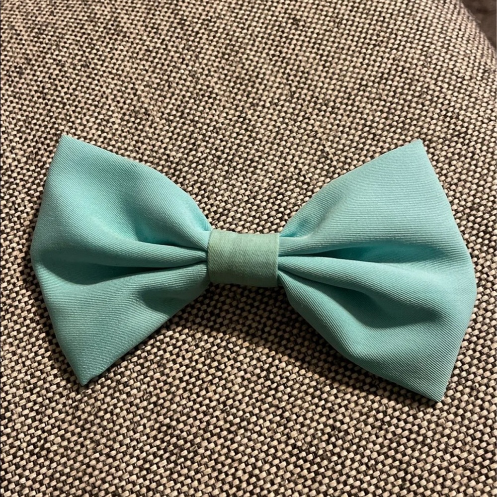 Baby blue hair bow